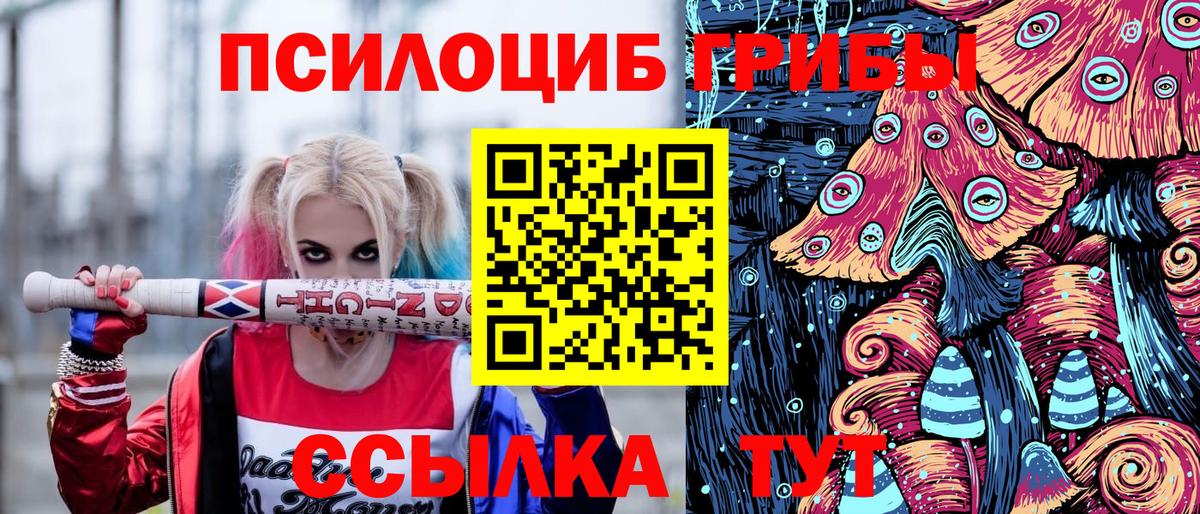 Евпатория  Псилоцибиновые грибы мицелий  купить наркотики цена  Галлюциногенные грибы ЛСД  Вход с VPN 